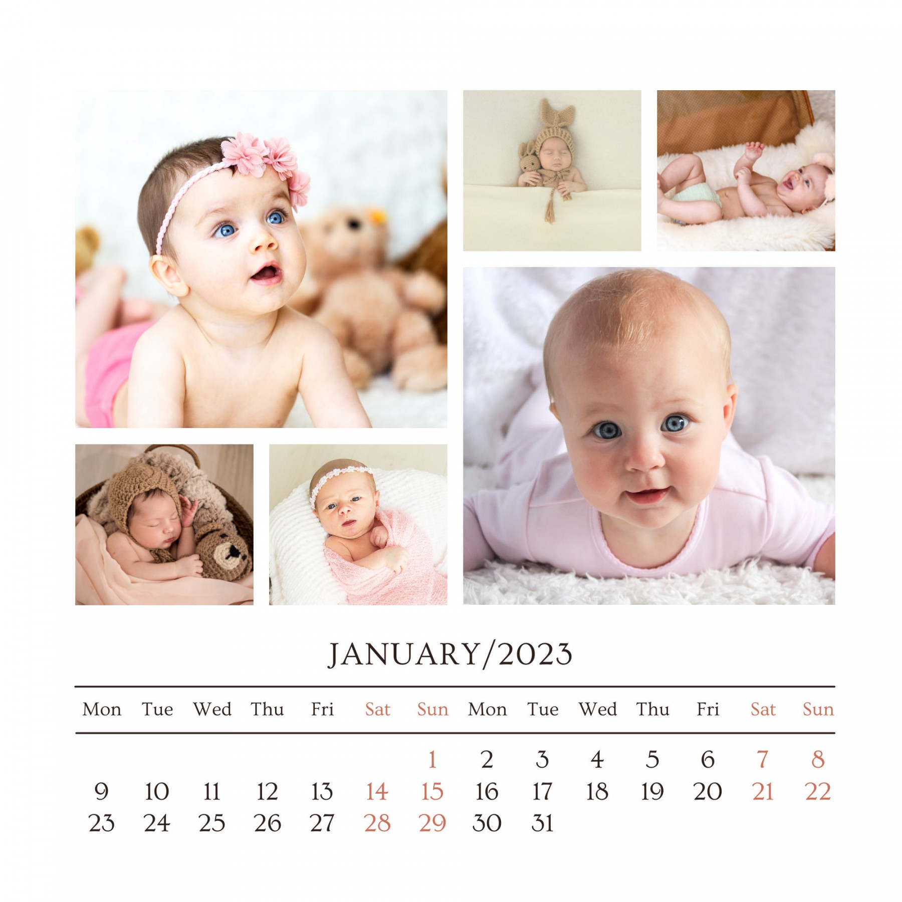 Minimalist Floral January Calendar   A/A/Letter, Printable Monthly  Planner, Editable Digital Calendar  Monday & Sunday Start