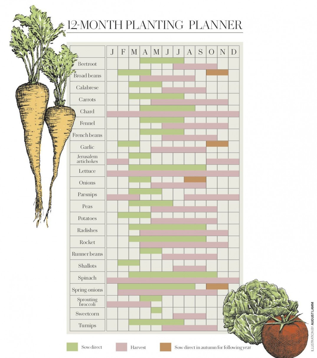 -Month Vegetable Planting Calendar – When To Plant Vegetables