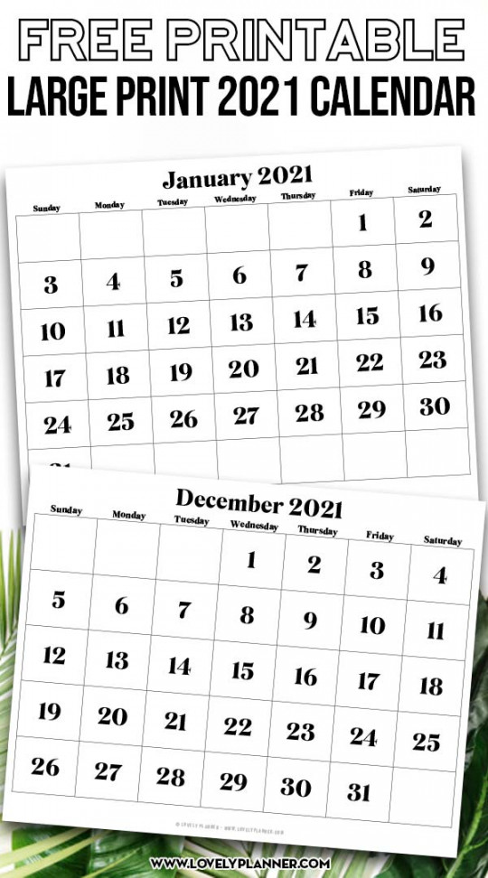 Free Printable Large Print  Calendar -  month Calendar