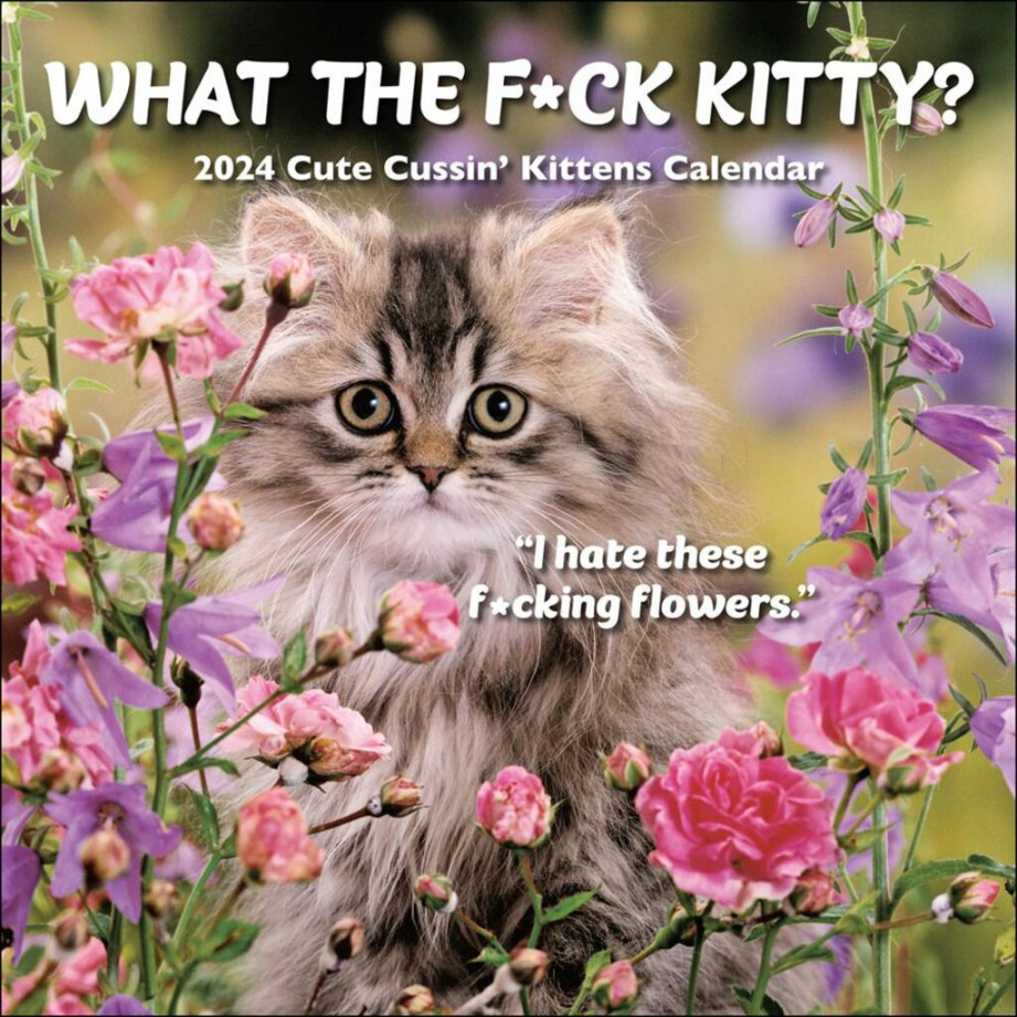 What the F-ck Kitty?  Wall Calendar - Calendars