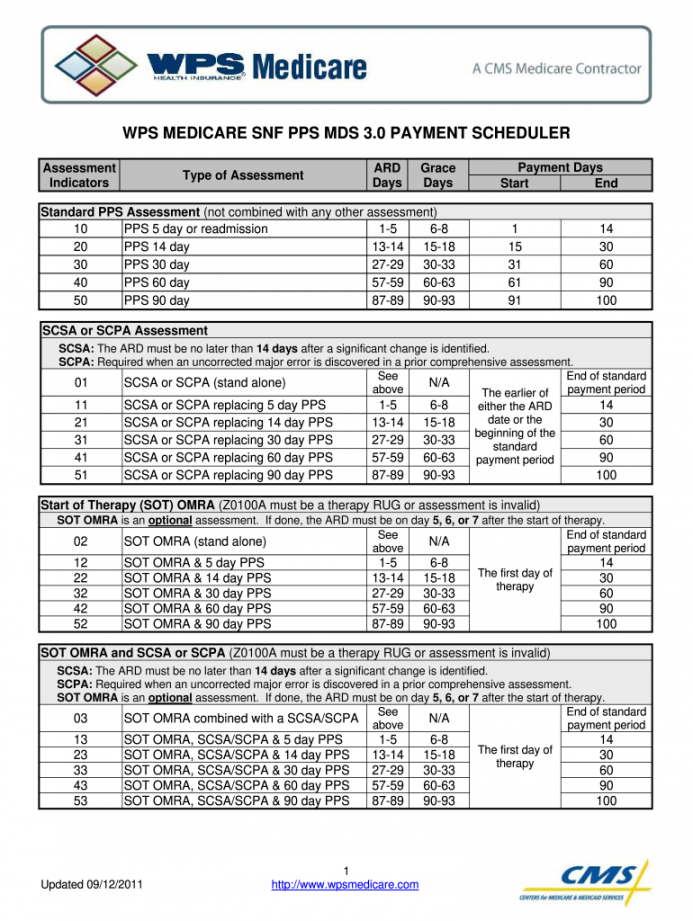 WPS MEDICARE SNF PPS MDS : Fill out & sign online  DocHub