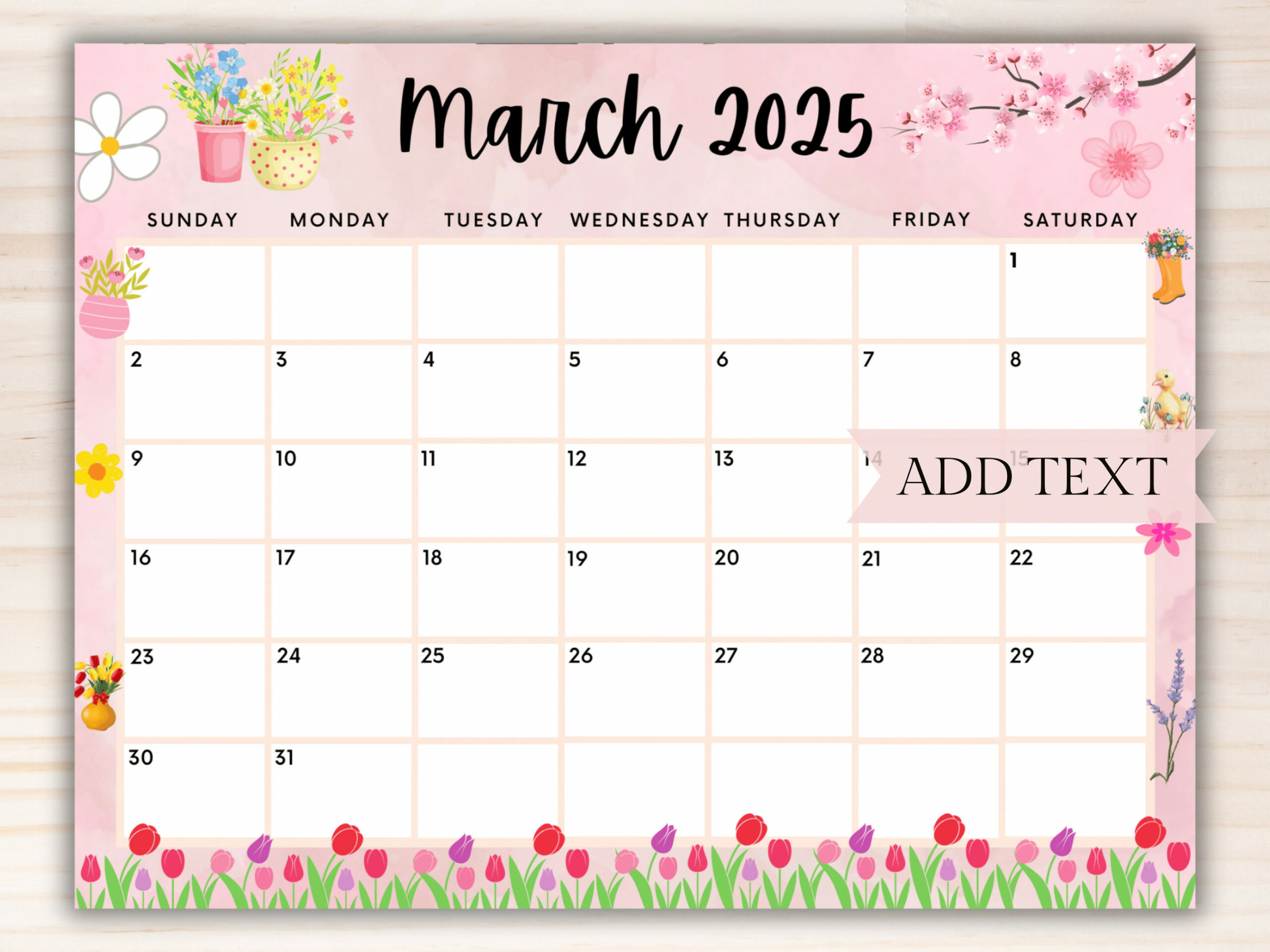 EDITABLE March  Calendar, Printable Wall Calendar , Cute